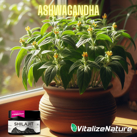 Todo lo que Necesitas Saber sobre Ashwagandha: Beneficios, Usos y Efectos - HairFluencer