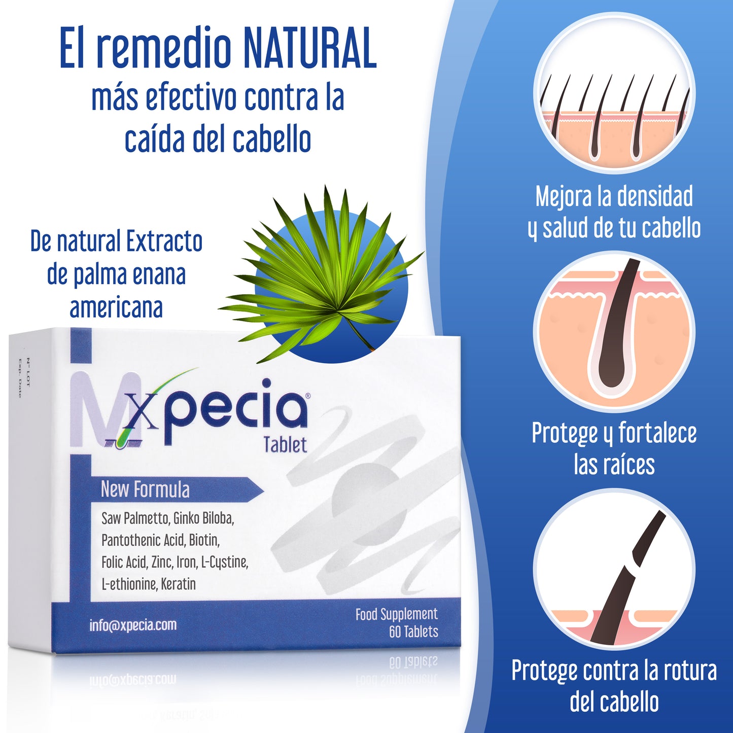 Xpecia Tablet hombre vitaminas para alopecia androgénica, Bloquea DHT, con Saw palmetto, Biotina, 60 comprimidos