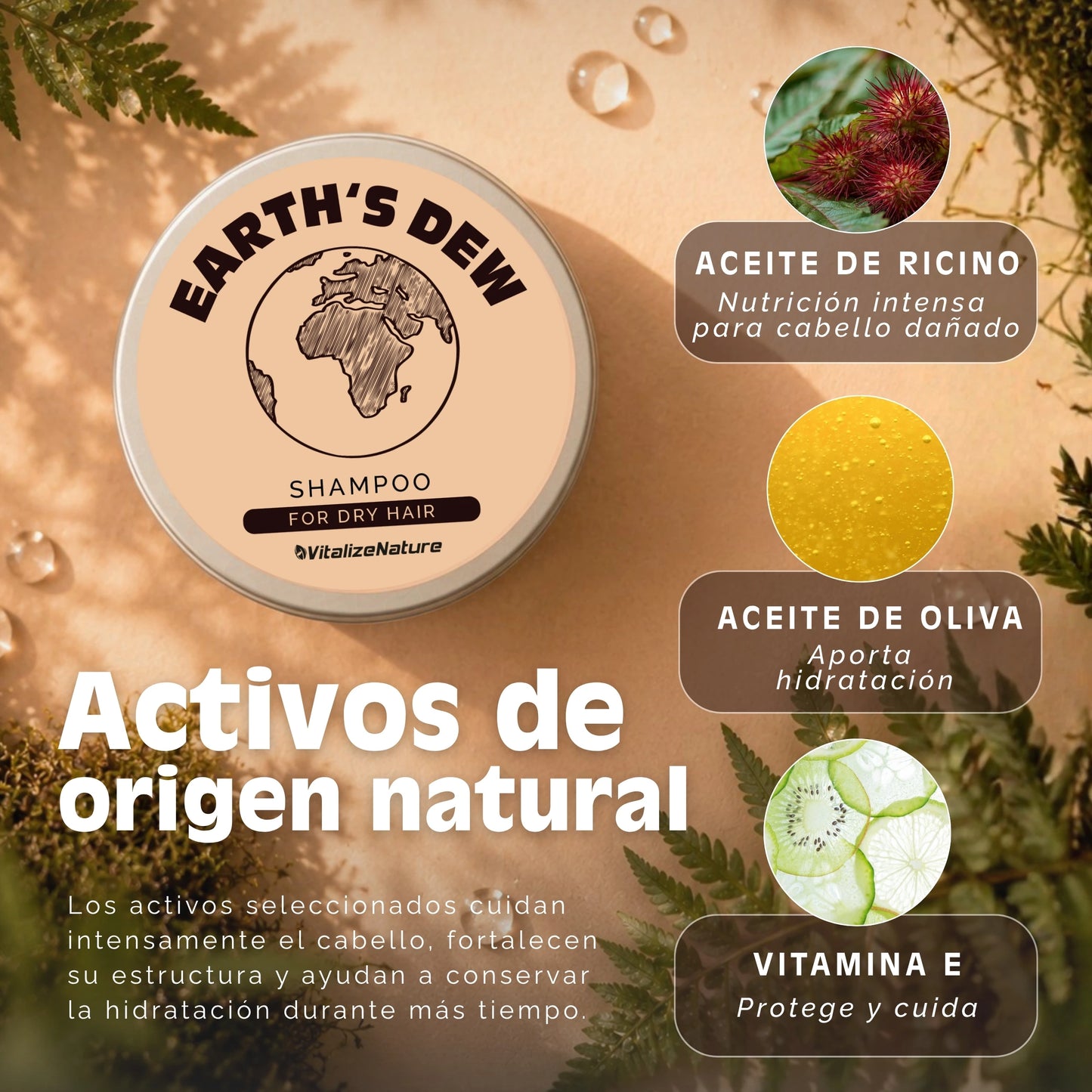 Champú Sólido VitalizeNature | Cuidado Capilar Botánico y natural 100x100