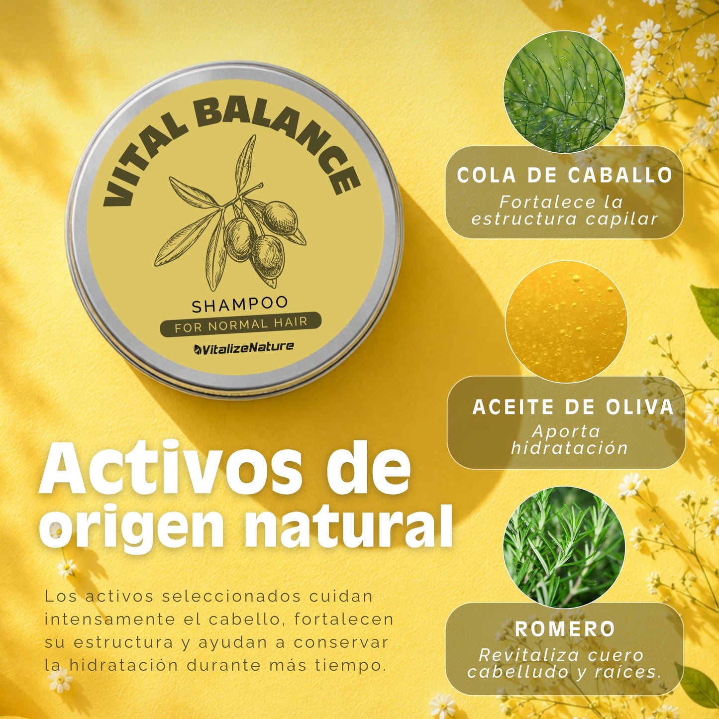 Champú Sólido VitalizeNature | Cuidado Capilar Botánico y natural 100x100