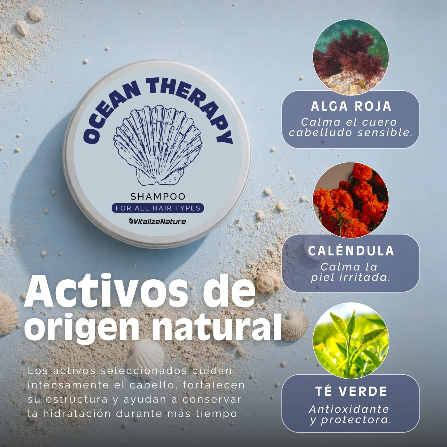 Champú Sólido VitalizeNature | Cuidado Capilar Botánico y natural 100x100